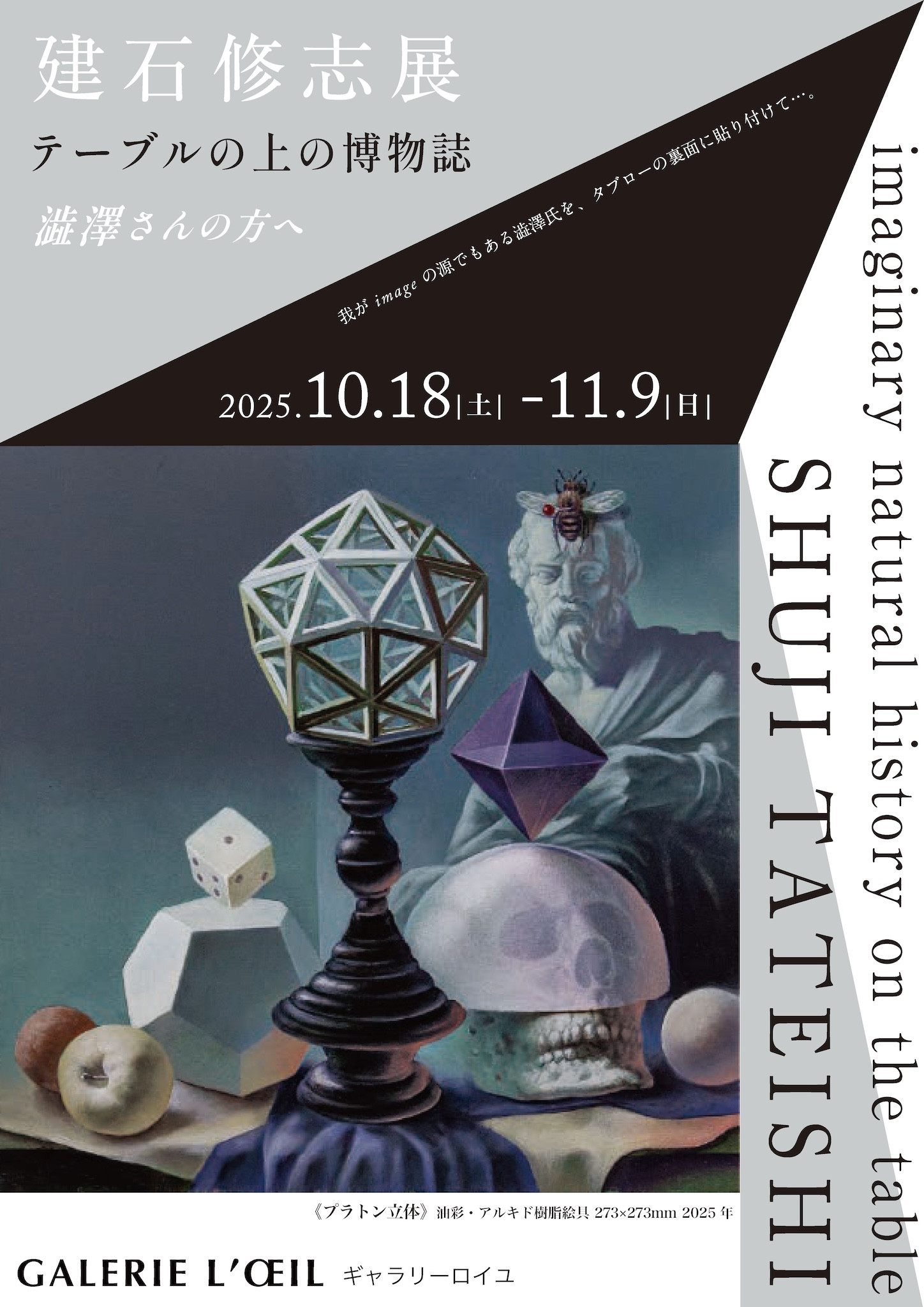 建石修志展《テーブルの上の博物誌ー澁澤さんの方へ》